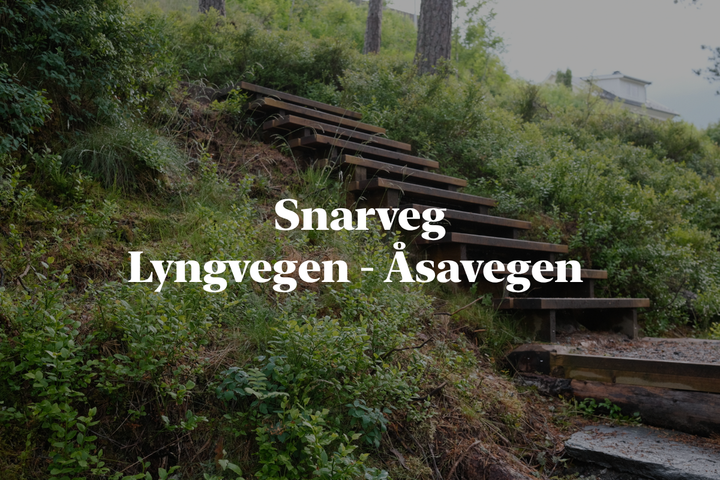 Snarvegar: Åsen