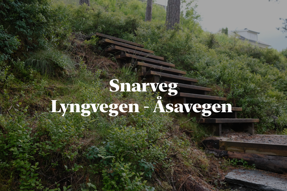 Snarvegar: Åsen