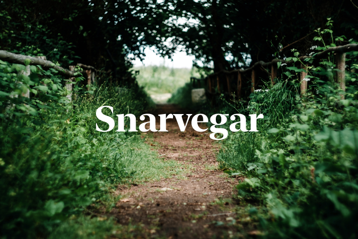 Prosjekt: Snarvegar